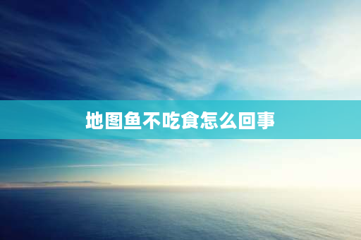 地图鱼不吃食怎么回事 地图鱼为什么最近不吃食了？