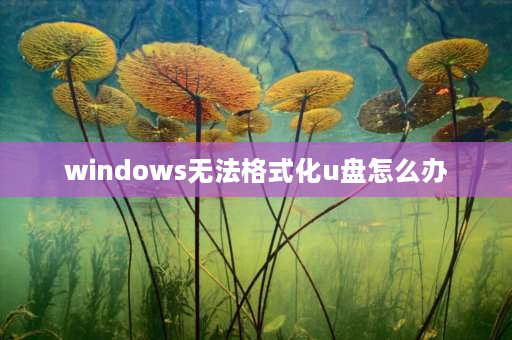 windows无法格式化u盘怎么办 u盘不能格式化fat32怎么办？