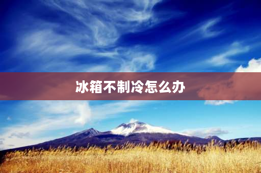 冰箱不制冷怎么办 冰箱冷冻室不冻的原因及解决办法？