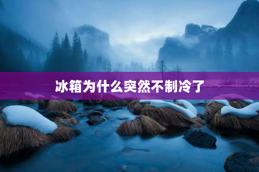 冰箱为什么突然不制冷了 冰箱有时候不制冷,断电休息一两天就好了,过几天就又不行了,怎么回事？