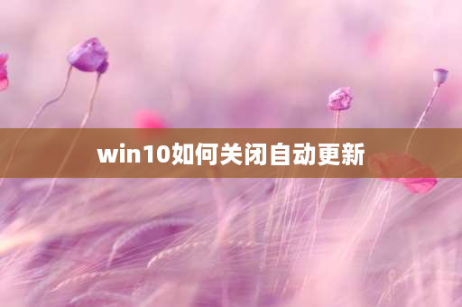 win10如何关闭自动更新 华为荣耀手机老是出现系统更新怎么取消？