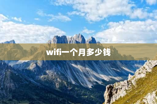 wifi一个月多少钱 电信wifi一年多少钱？