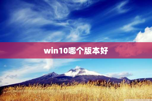 win10哪个版本好 win10那么多版本怎么选？