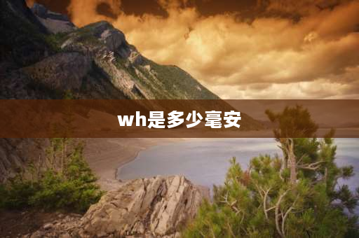 wh是多少毫安 电池容量单位mAh和Wh分别是什么意思？