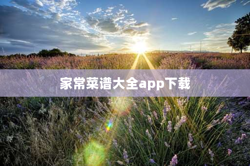 家常菜谱大全app下载 头条圈子有哪些？