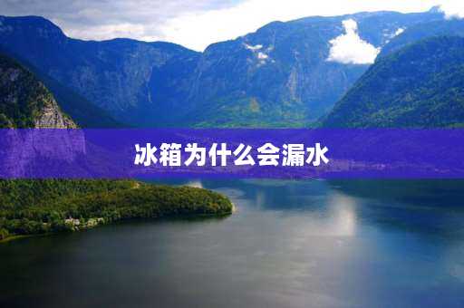 冰箱为什么会漏水 冰箱为什么漏水冰箱为什么漏水？