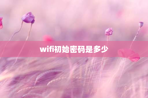 wifi初始密码是多少 无线网一般密码多少？