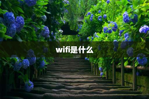 wifi是什么 谁知道WIFI是什么吗？