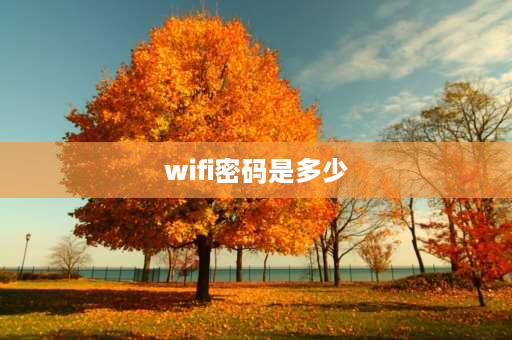 wifi密码是多少 网上买的wifi密码一般是多少？