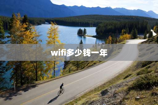 wifi多少钱一年 wifi包年多少元啊？