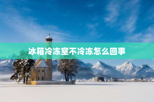 冰箱冷冻室不冷冻怎么回事 冰箱保鲜正常冰冻却不制冷是什么原因？