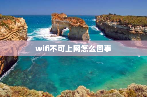 wifi不可上网怎么回事 WIFI不能上网怎么回事？