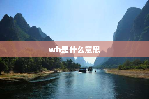 wh是什么意思 WH在网络用语中是什么意思？