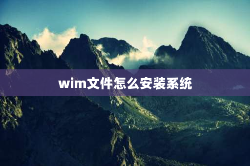 wim文件怎么安装系统 wim系统文件怎么用大白菜u盘安装？