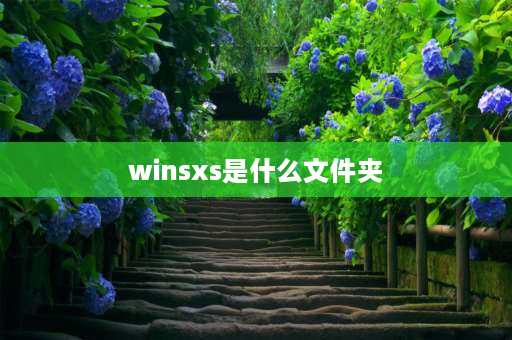 winsxs是什么文件夹 winsys文件夹可以清理吗？