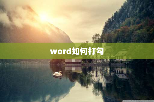 word如何打勾 word文档如何在方框内打钩？