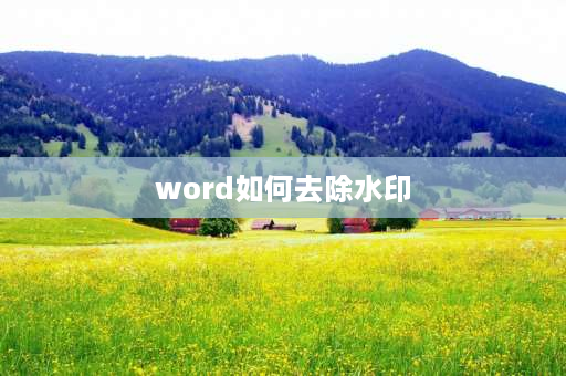 word如何去除水印 word去印章的方法？