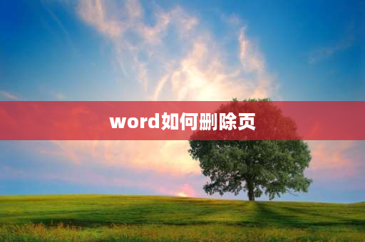 word如何删除页 word上再怎样删除不用的页？