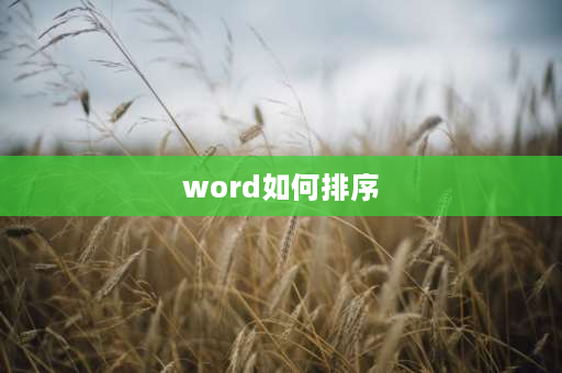 word如何排序 word表格怎么分类排列？