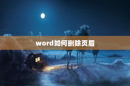 word如何删除页眉 word如何去掉一页的页眉页码？