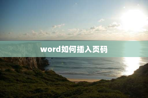 word如何插入页码 word怎样插入页码？