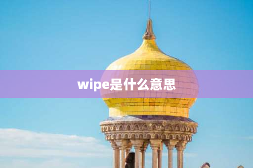 wipe是什么意思 wipe什么意思？