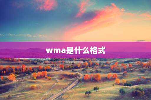 wma是什么格式 wma格式的播放器是什么？