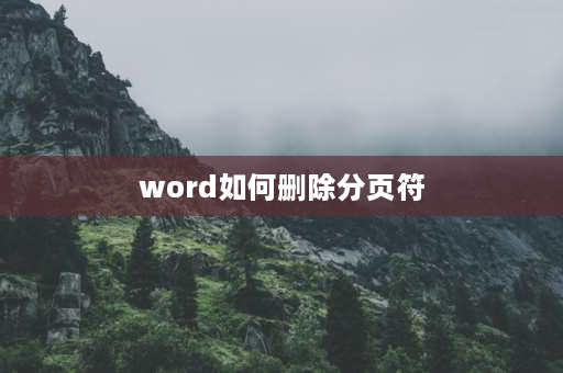 word如何删除分页符 word文档中怎么把分页符去掉？