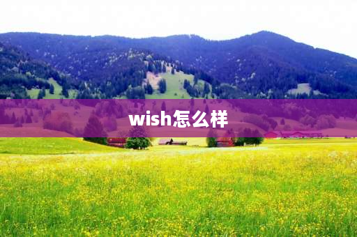 wish怎么样 wish电商运营技巧？