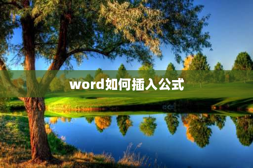 word如何插入公式 Word如何输入公式？