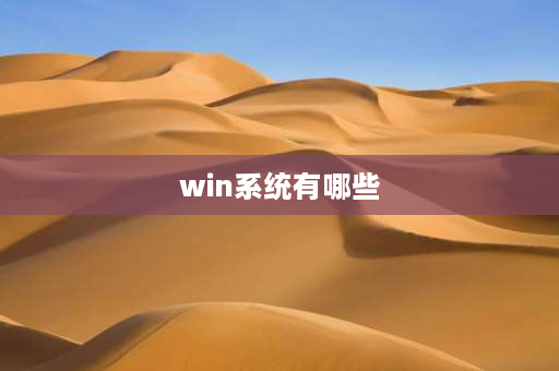 win系统有哪些 Windows系统是干什么的？