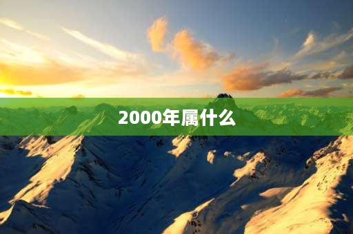 2000年属什么 2000年的龙属于什么龙？