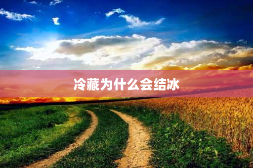 冷藏为什么会结冰 冰箱排水孔在保鲜层堵住了冷藏室为什么会结冰？