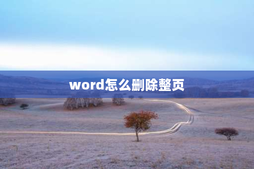 word怎么删除整页 word有表格怎么删除不要的页？