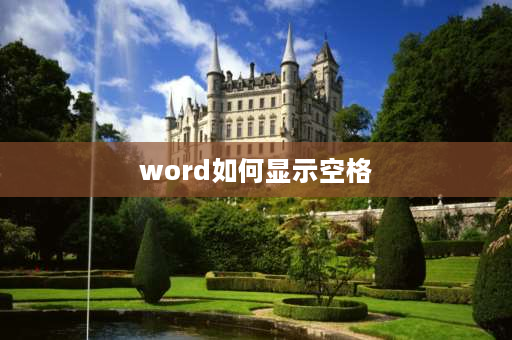 word如何显示空格 word文档怎么加入空格线？