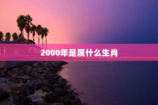 2000年是属什么生肖 00年12月属什么？