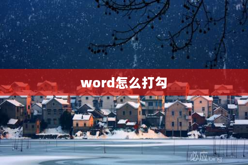 word怎么打勾 word文档里面怎么打勾？