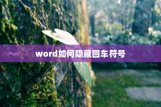 word如何隐藏回车符号 怎么在word里面不显示回车符号？