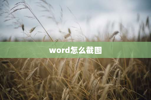 word怎么截图 word怎么截图整个页面？