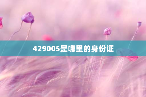 429005是哪里的身份证 420641开头的身份证号？