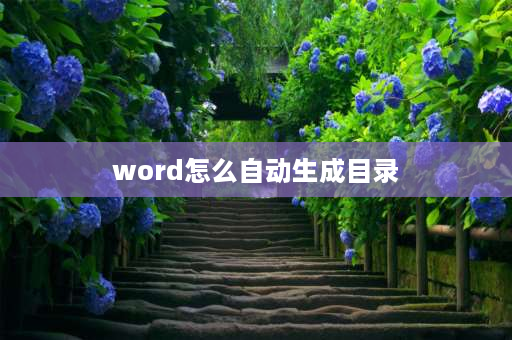 word怎么自动生成目录 word怎么快速生成目录？