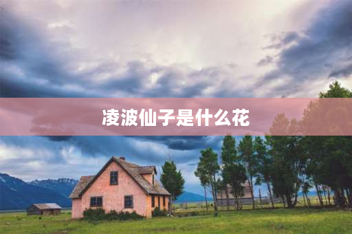 凌波仙子是什么花 水仙花为什么叫水仙花的名字？