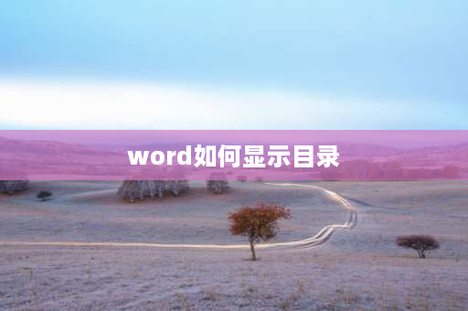 word如何显示目录 word目录怎么出现？