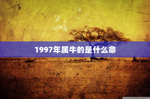 1997年属牛的是什么命 1997年出生属什么？