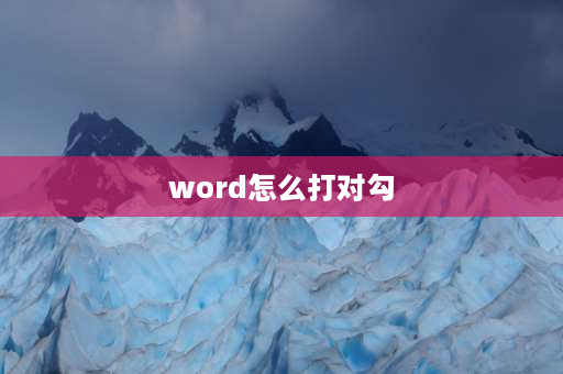 word怎么打对勾 word文档里面怎么打勾？