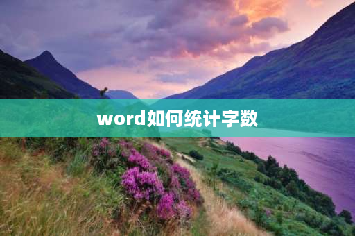 word如何统计字数 word怎么查看字数？