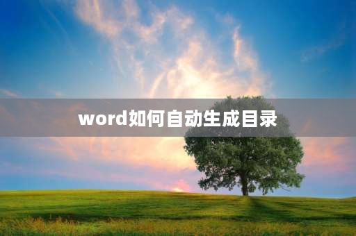 word如何自动生成目录 word怎么快速生成目录？