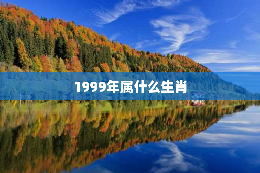 1999年属什么生肖 1999年的人属相是什么？