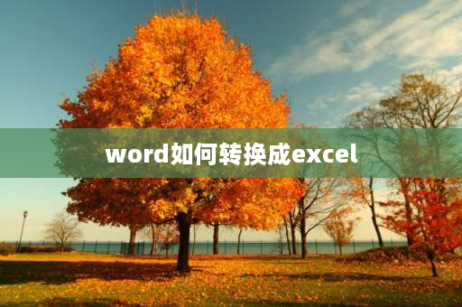 word如何转换成excel word题库怎么变成excel题库？