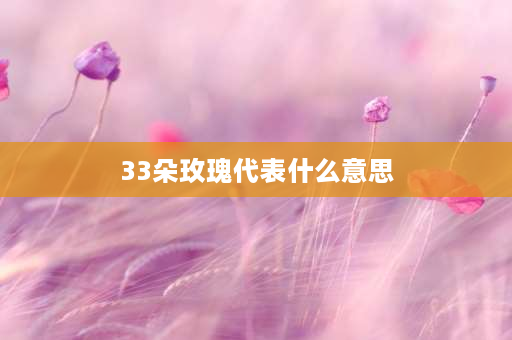 33朵玫瑰代表什么意思 33朵玫瑰花的含义是什么？